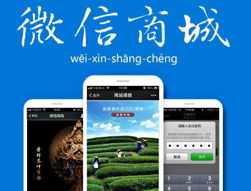 分銷商城系統(tǒng)在電商領(lǐng)域當(dāng)中優(yōu)勢(shì)巨大